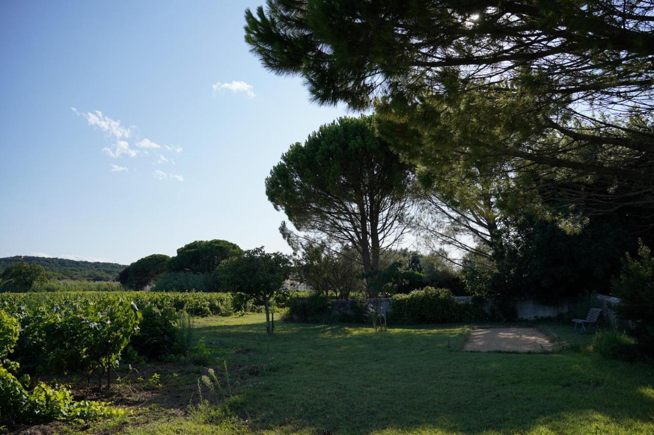 Maison d´hôtes Le Mas des Vignes Rochegude (Drome) Exterior foto